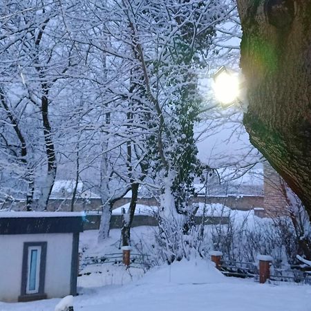 Woodland Paradise Gabala Exterior photo