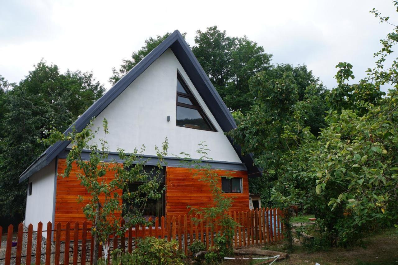 Woodland Paradise Gabala Exterior photo