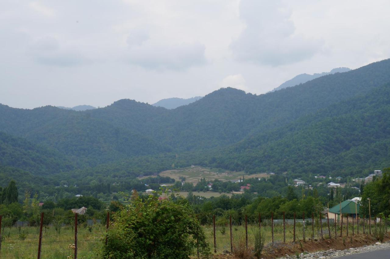 Woodland Paradise Gabala Exterior photo