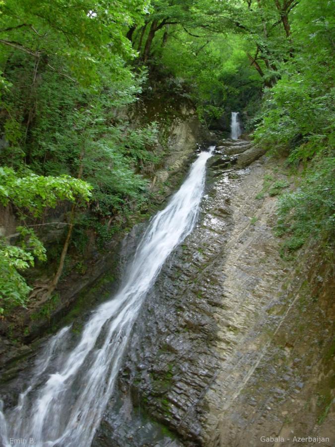Woodland Paradise Gabala Exterior photo