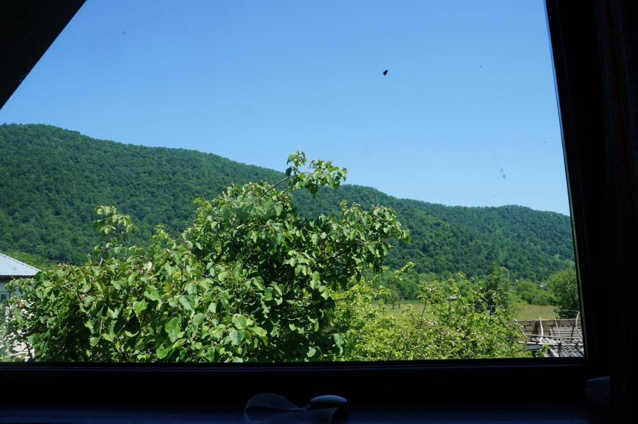 Woodland Paradise Gabala Exterior photo