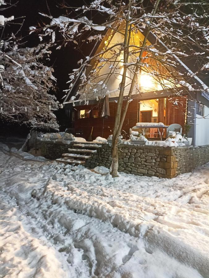 Woodland Paradise Gabala Exterior photo