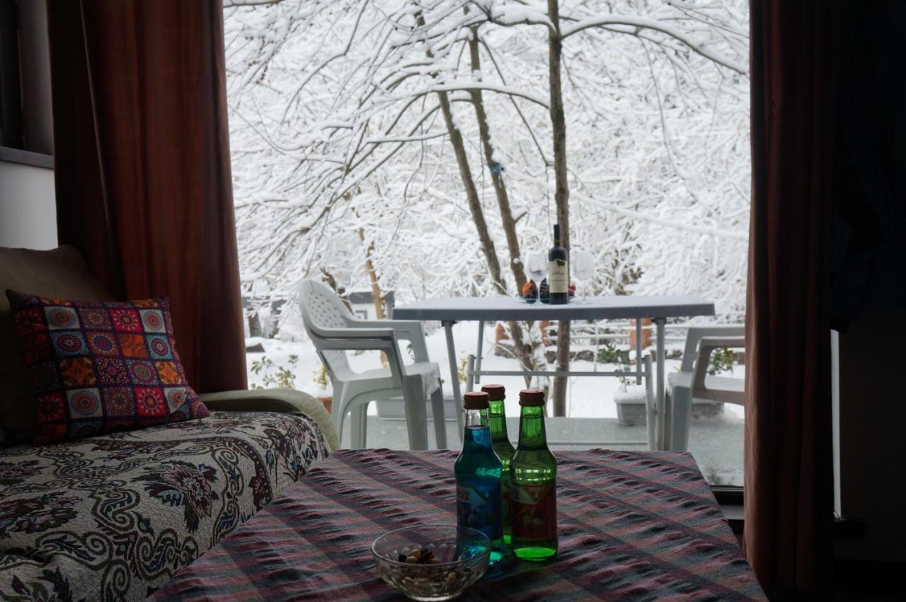 Woodland Paradise Gabala Exterior photo