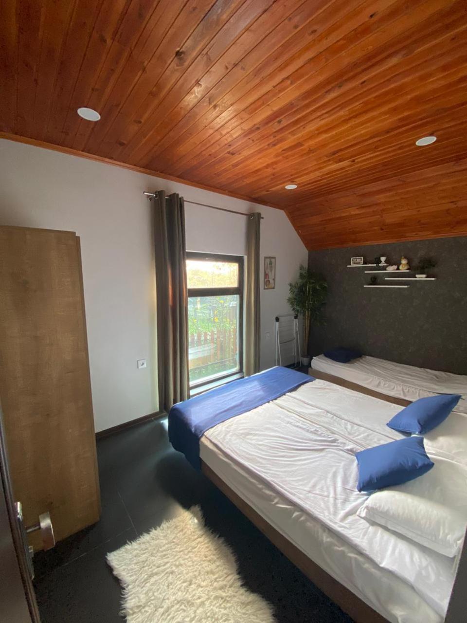 Woodland Paradise Gabala Exterior photo