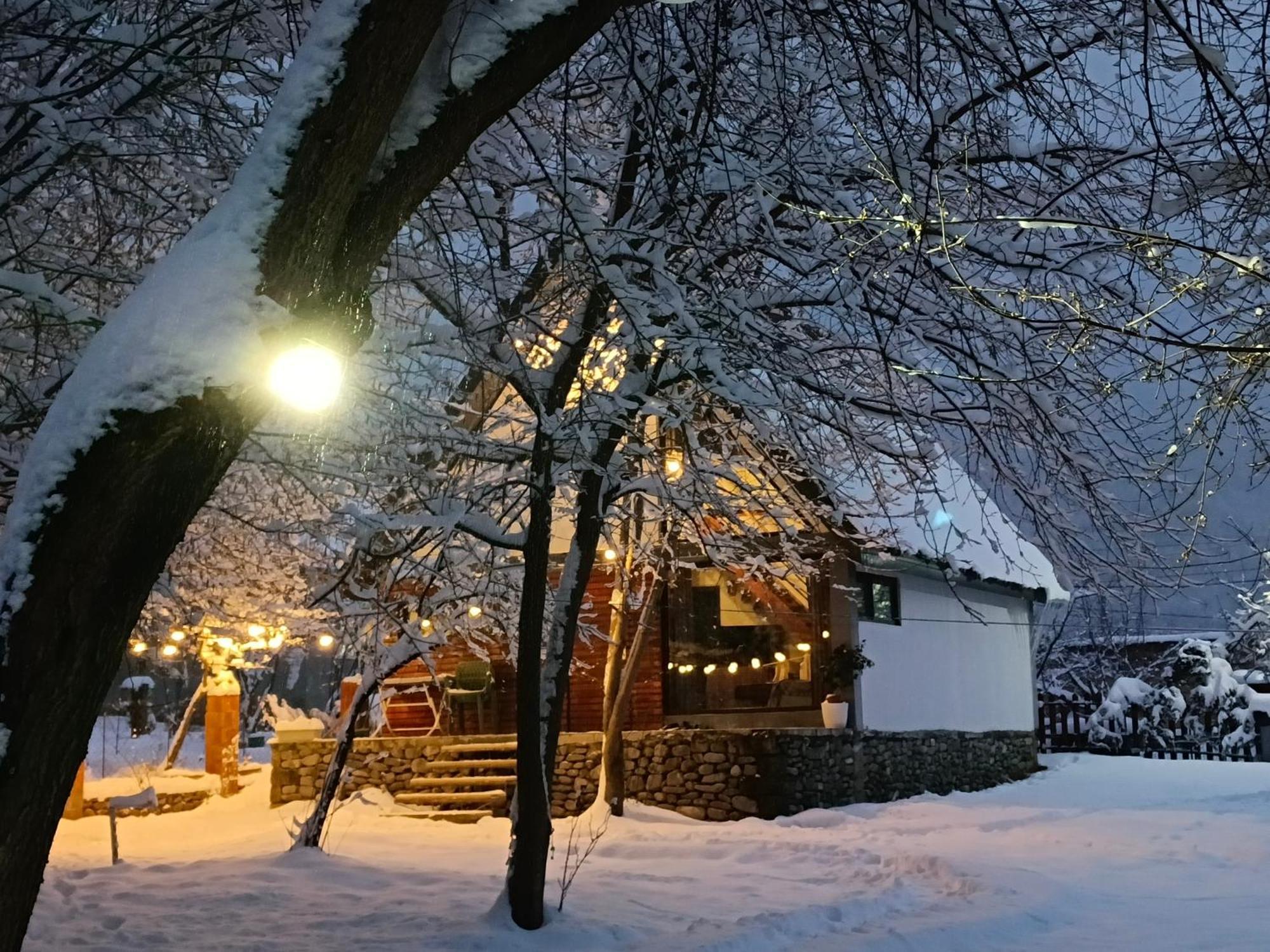 Woodland Paradise Gabala Exterior photo