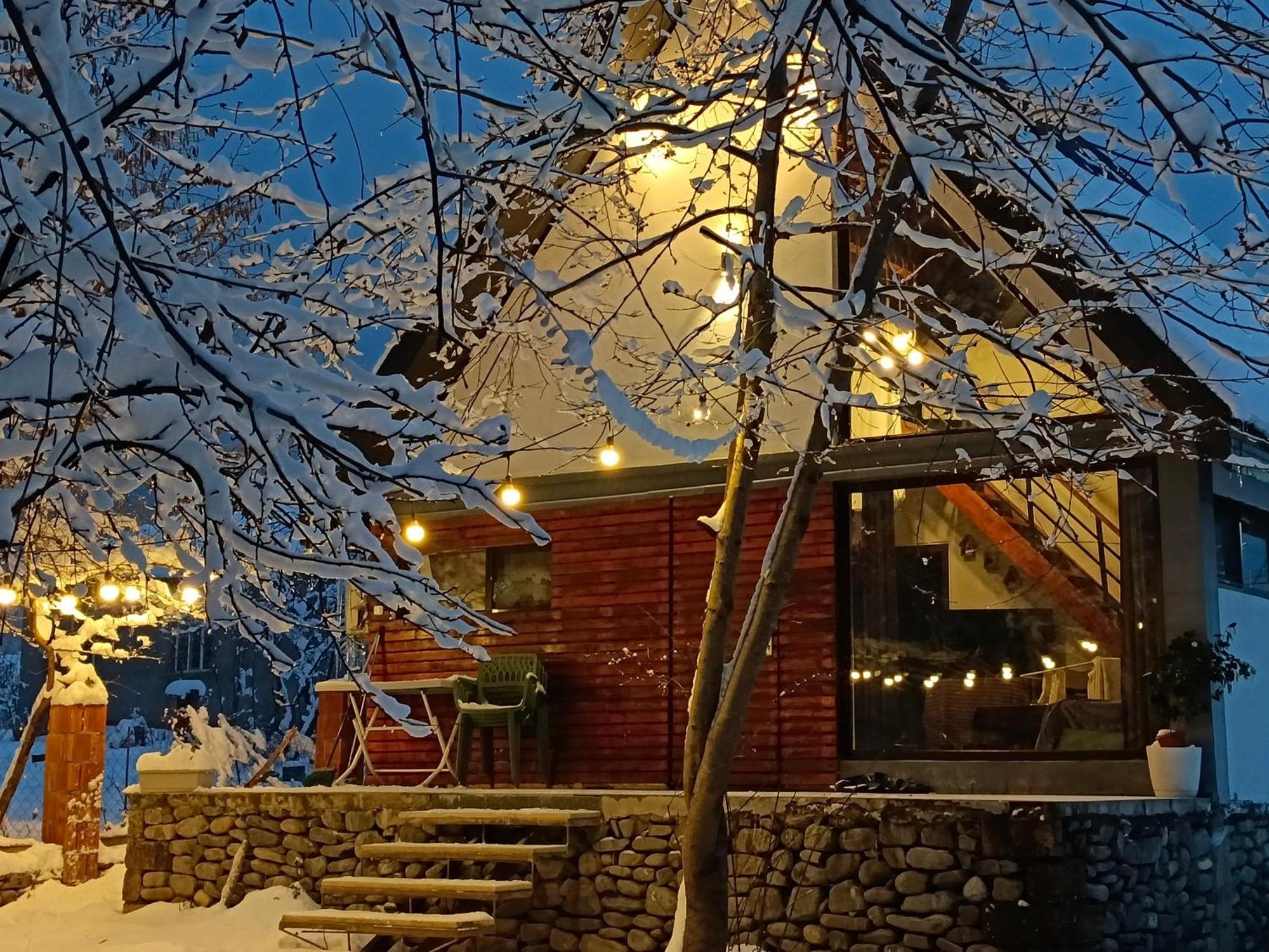 Woodland Paradise Gabala Exterior photo